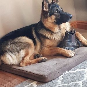 Meet your Posher, Ella